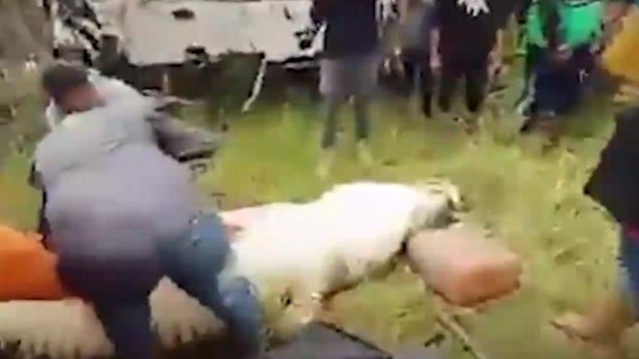 Dev timsah 8 yaşındaki çocuğu yuttu! 2