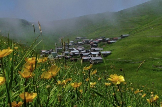 Ölen AA muhabirinden geriye bu fotoğraflar kaldı 8