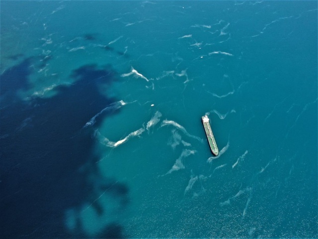 İstanbul sahillerinde kilometrelerce müsilaj hattı 2