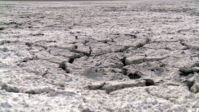 Van'ın kuş cenneti Akgöl tamamen kurudu 7
