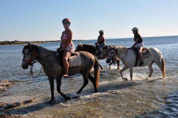 Turistlerden atlı safari turuna büyük ilgi 10