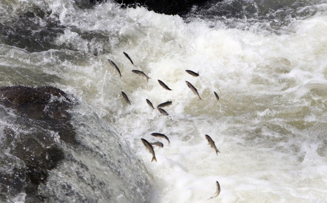 Van dünyanın dört bir yanından turist bekliyor 5