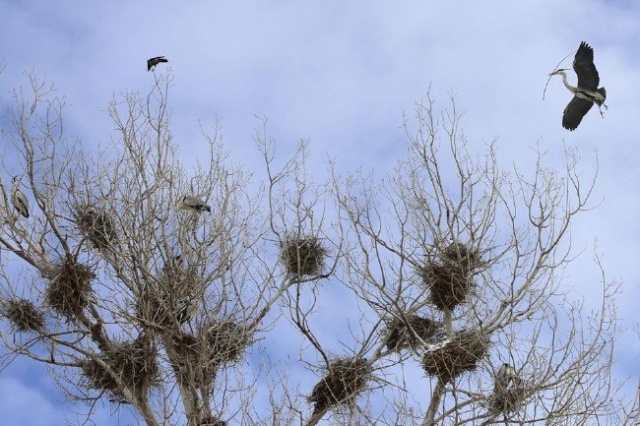 Ölen AA muhabirinden geriye bu fotoğraflar kaldı 11