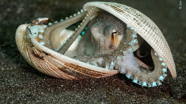 2020 'Yılın Doğa Fotoğrafları' belli oldu 4