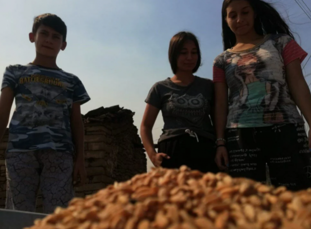 Küllerin arasından topladılar: Yangından geriye kalanlar 3