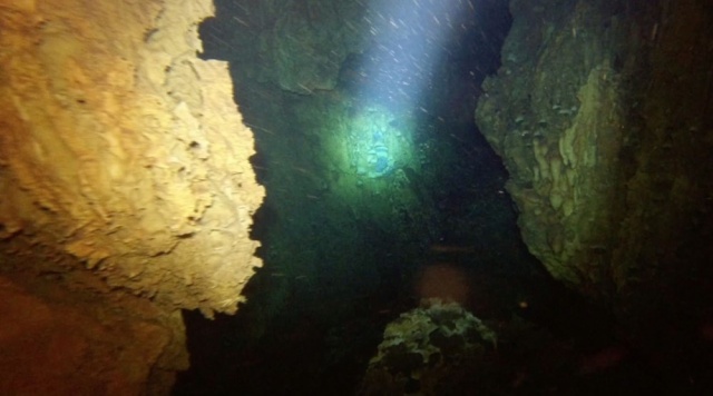 Antalyalı dalgıçlar suyun gözüne daldılar 8