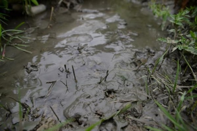 “Marmara Denizi,  Marmara Bölgesi’nin foseptik çukuru haline döndü” 5