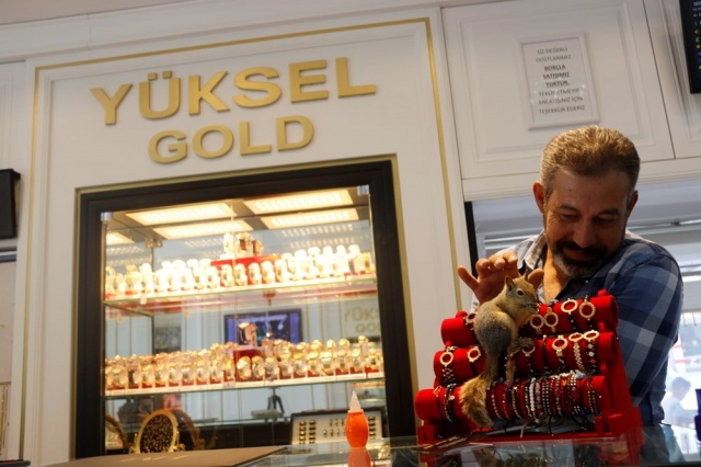 Binlerce liralık kasayı sincap koruyor 8