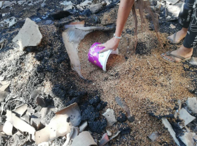 Küllerin arasından topladılar: Yangından geriye kalanlar 2