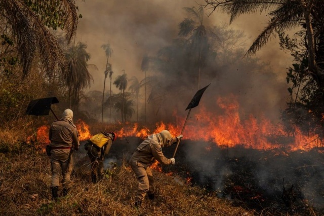 Yılın en çarpıcı fotoğrafları seçildi (World Press Photo Awards 2021) 13