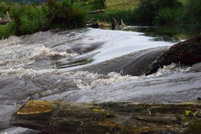 “Marmara Denizi,  Marmara Bölgesi’nin foseptik çukuru haline döndü” 4