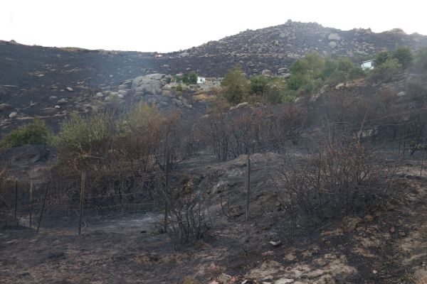 Marmara Adası'ndaki yangının boyutu gün ağarınca ortaya çıktı 10