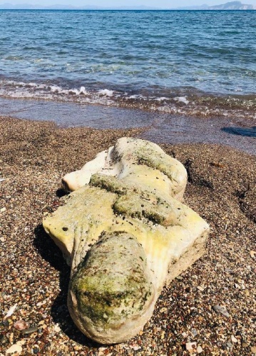 Deniz dibinden tarih çıktı 5