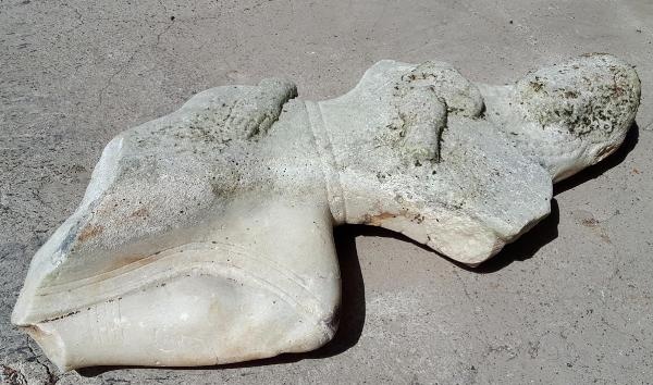 Deniz dibinden tarih çıktı 4