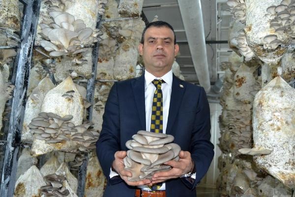 Cezaevinde istiridye mantarı hasadı 3