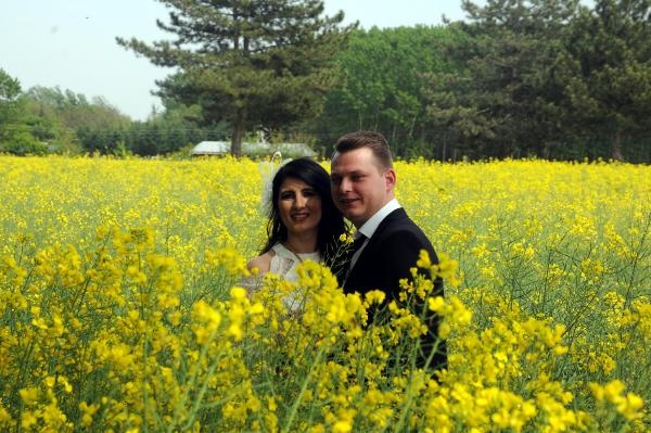 Kanola tarlaları doğal fotoğraf stüdyosuna döndü 4