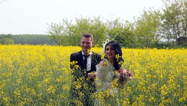 Kanola tarlaları doğal fotoğraf stüdyosuna döndü 2