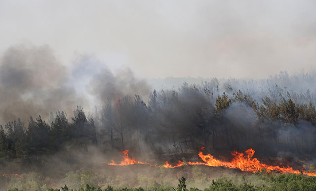 Bakan Pakdemirli: Keşan'daki yangın kontrol altında