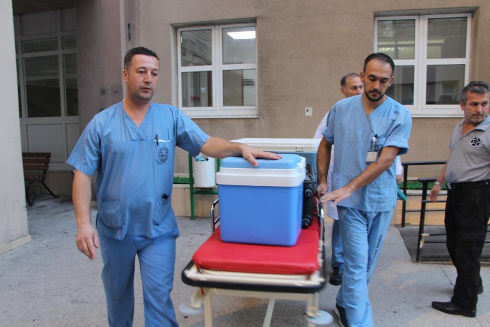 Beyin ölümü gerçekleşen hasta umut oldu