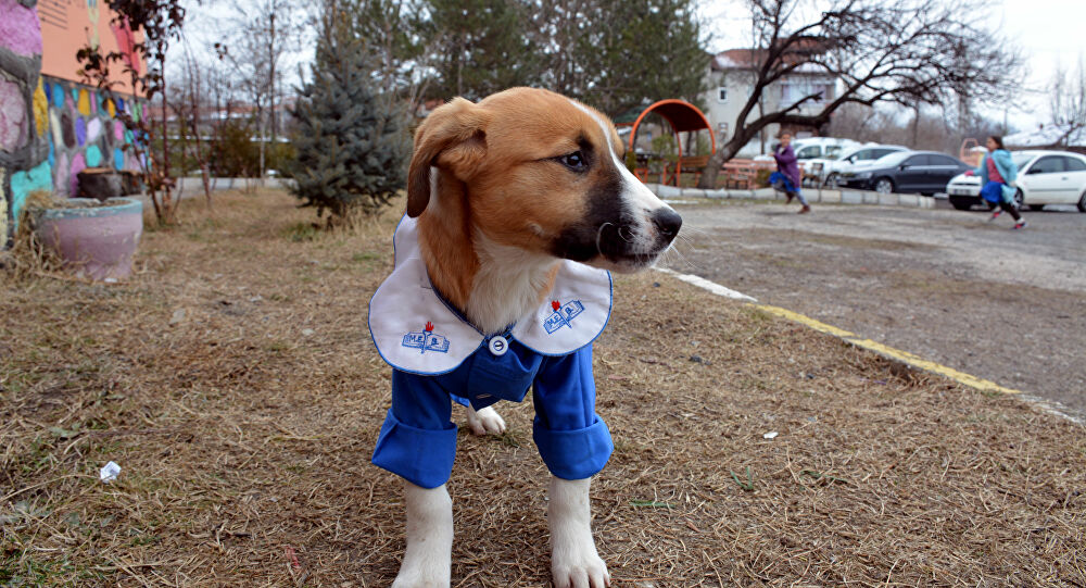 gençlik hastalığı nedir