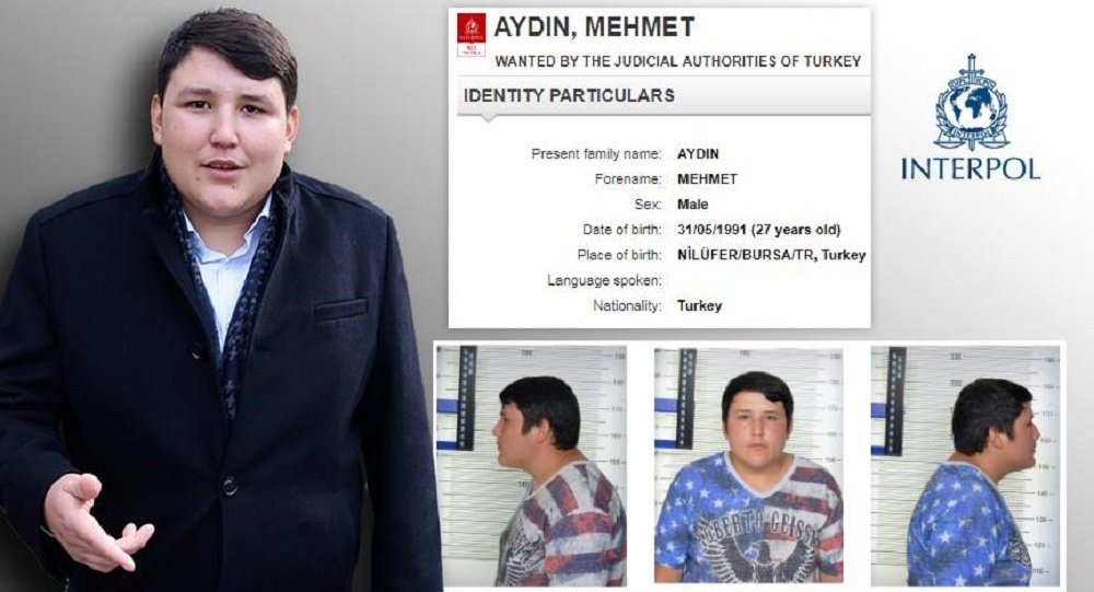 tosuncuk aylık geliri