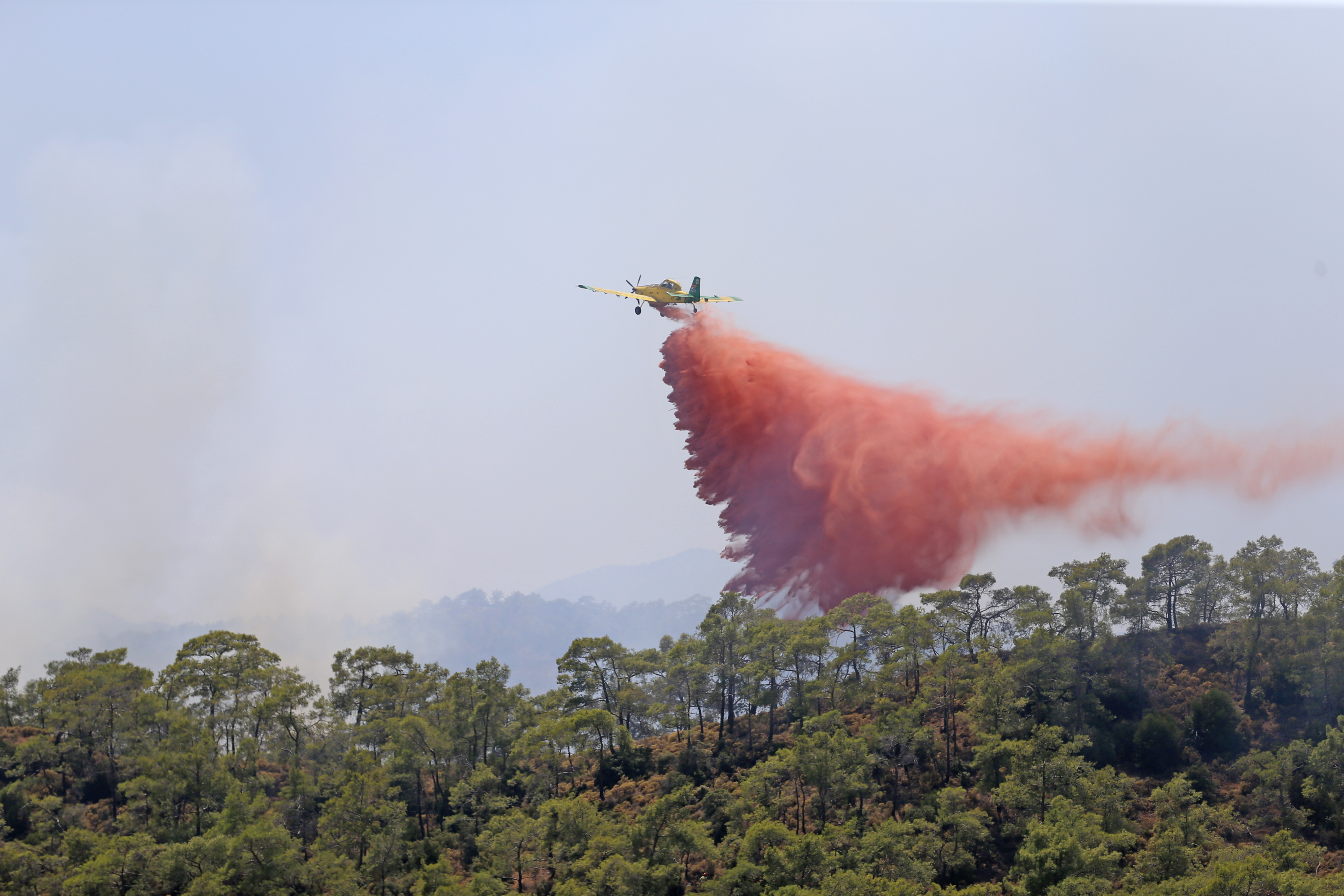 Fethiye'de orman yangını