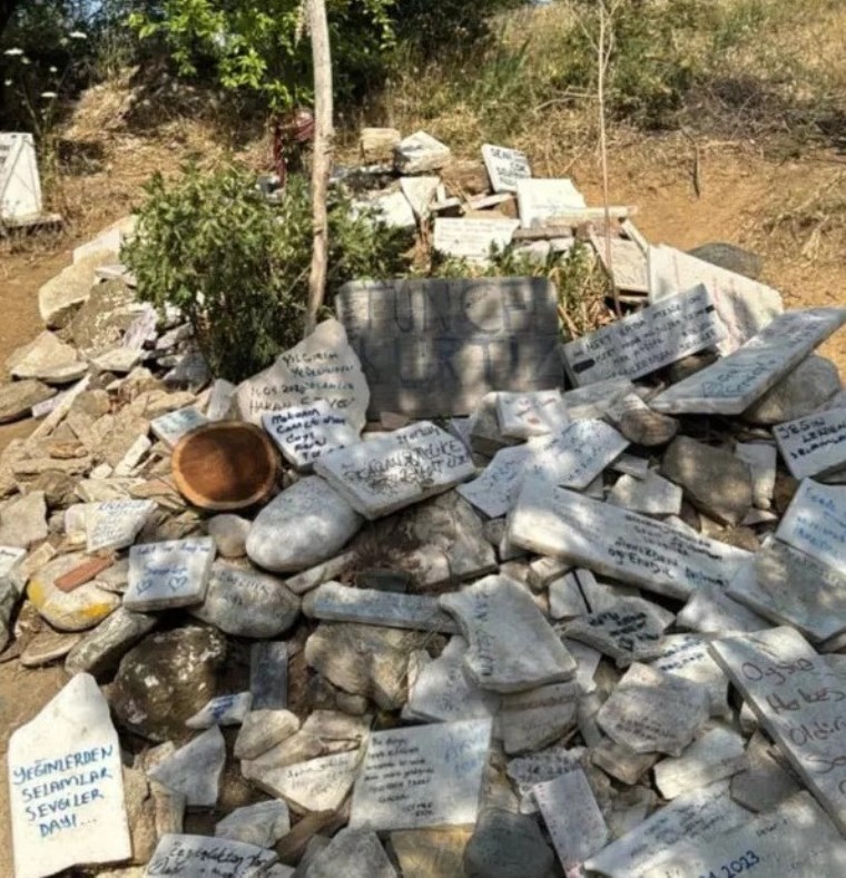 122518813 Ekran Goruntusu 2024 06 09 122046