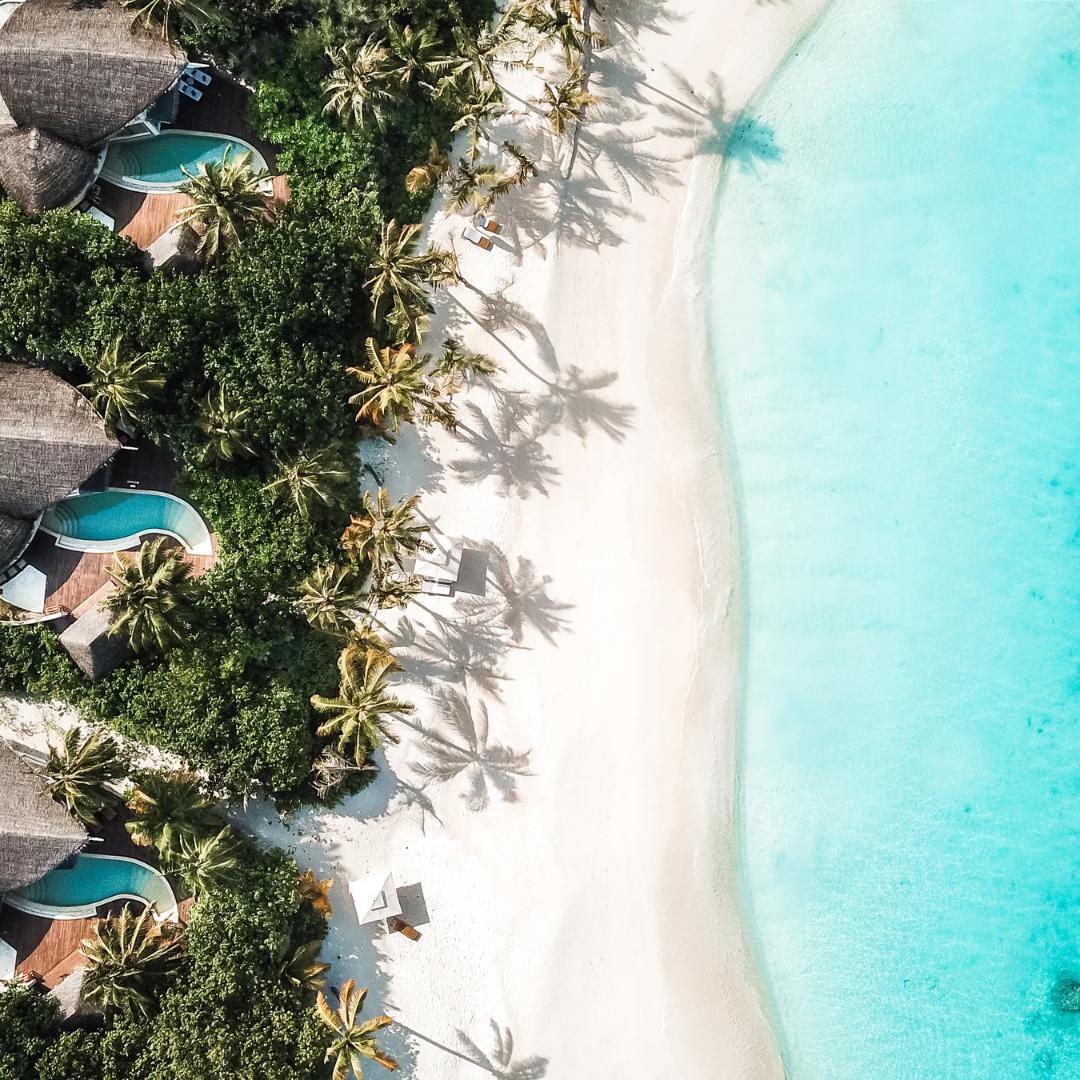 I M G 20240612 W A0001