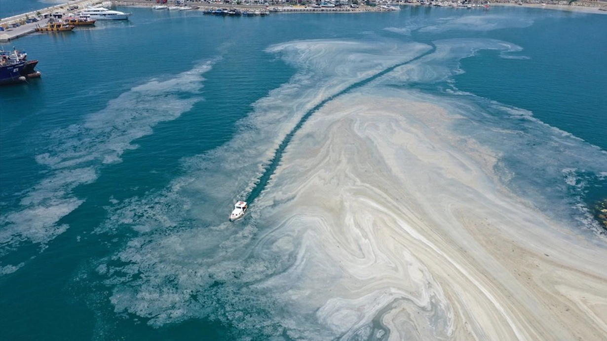 Kis Ortasinda Musilaj Azot Ve Fosfor Marmarayi Bogdu Fu23