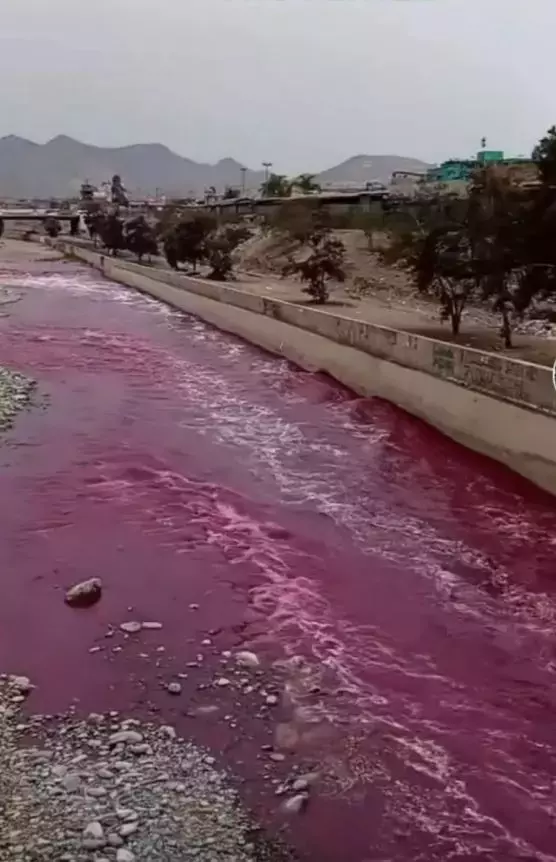 Nehir Aniden Kirmiziya Donustu Kimse Ne Oldugunu 18346721 6700 M