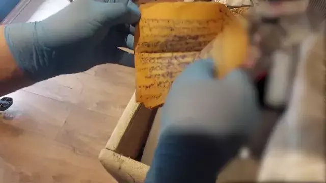 Anne Ve Kizindan 300 Milyon Liralik Buyuculuk 18468953 5081 M