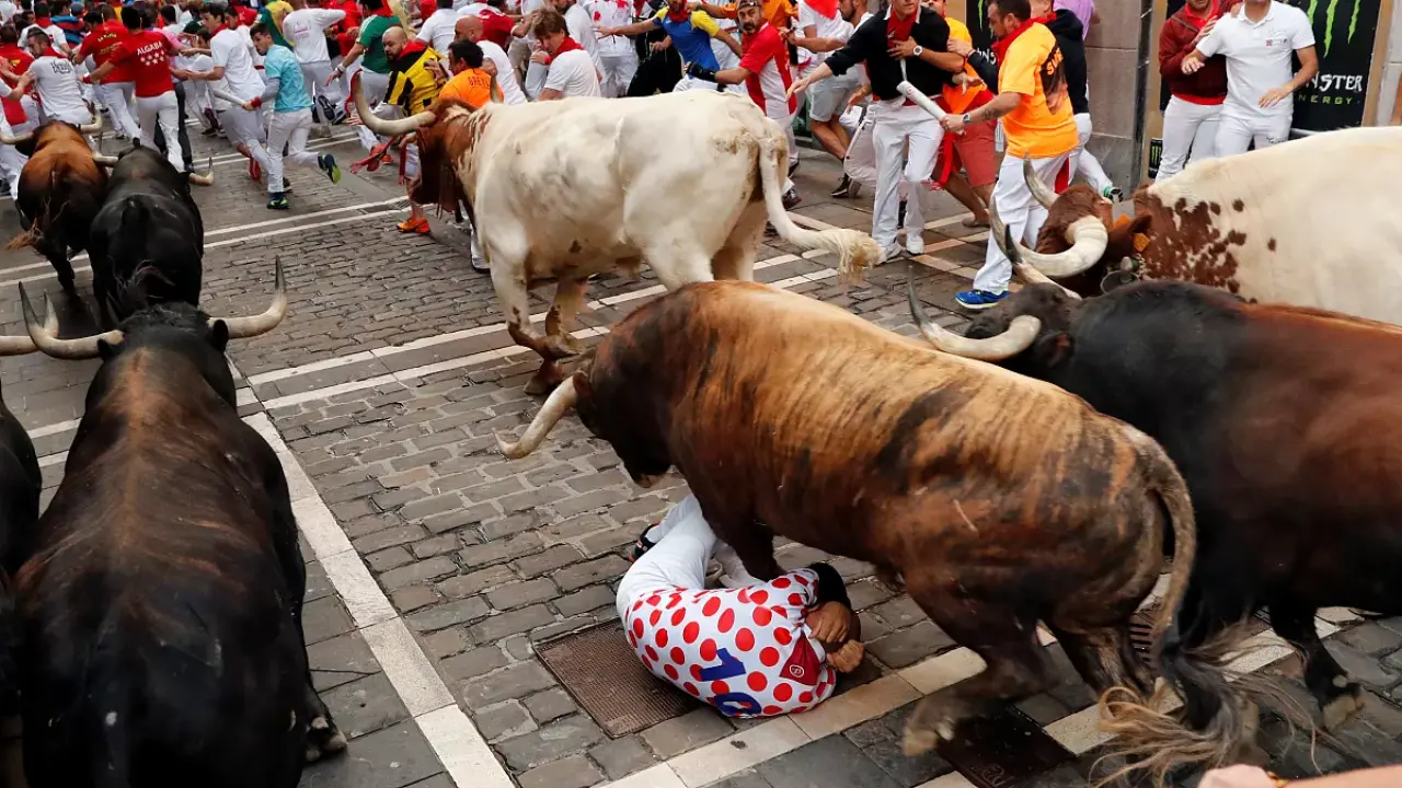 San Fermin Festivali nedir, İspanya için anlamı: Boğa koşuları, beyaz kıyafetli onbinlerce kişi 3